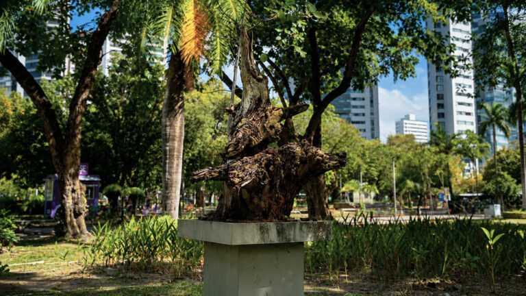Arte homenageia natureza, resistência e bons fluídos